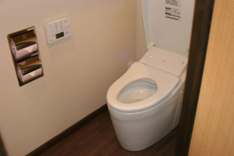 Bathroom, Hatago Sakura, Kokonoe