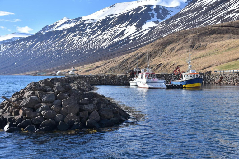 Others 5, Sólbrekka Guesthouse, Mjóafjarðarhreppur