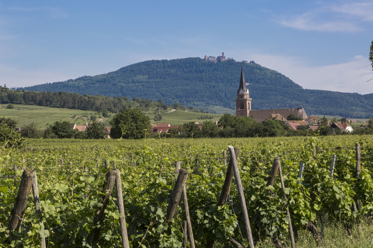 Others 2, Résidence Odalys Le Domaine des Rois, Haut-Rhin