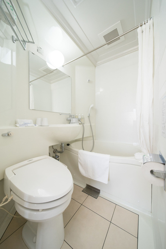 Bathroom 4, SUPER HOTEL Premier JR Nara Station, Nara