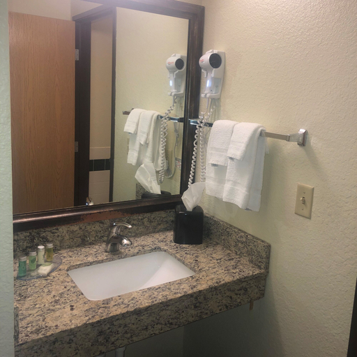 Bathroom 3, Cobblestone Hotel & Suites – Wisconsin Rapids, Wood