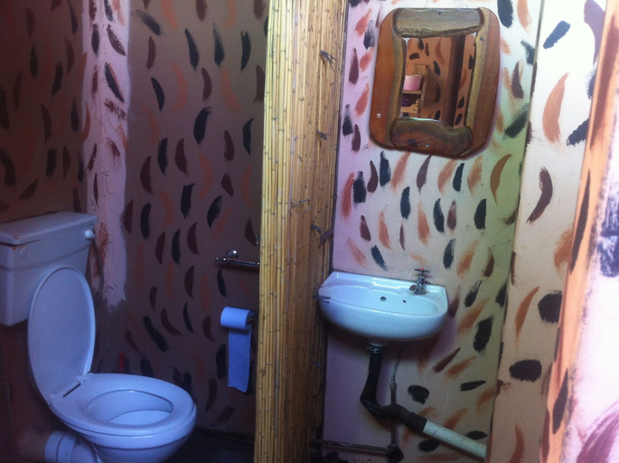 Bathroom, Bananyana Backpackers, Chobe