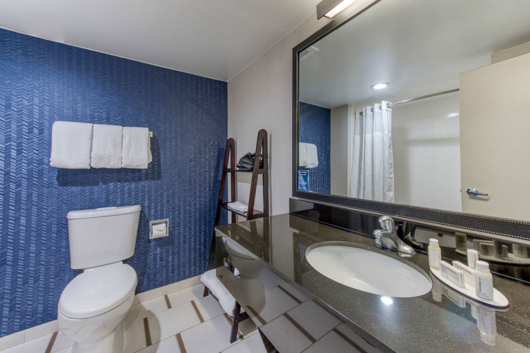 Bathroom 4, Fairfield Inn By Marriott Raleigh Crabtree, Wake