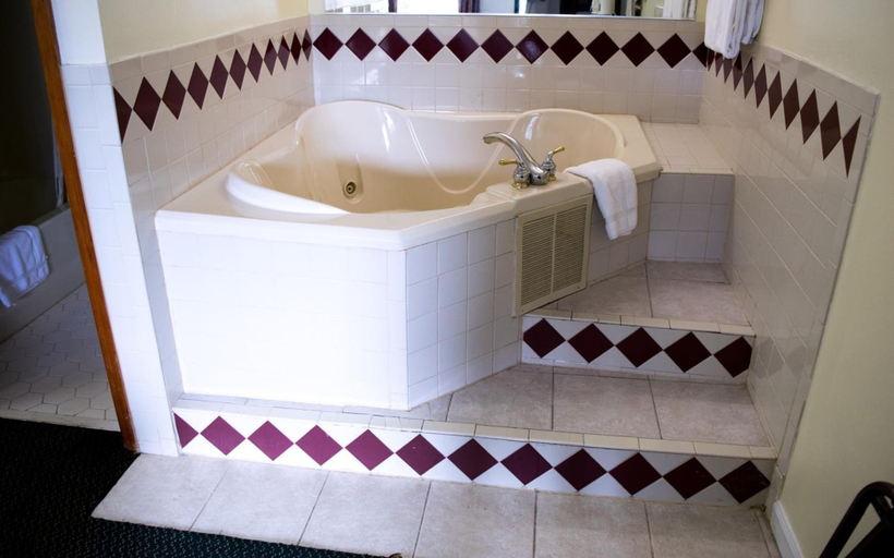 Bathroom 4, Rodeway Inn Augusta West - Fort Gordon, Richmond