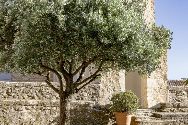 Exterior & Views 2, Hotel Crillon Le Brave, Vaucluse