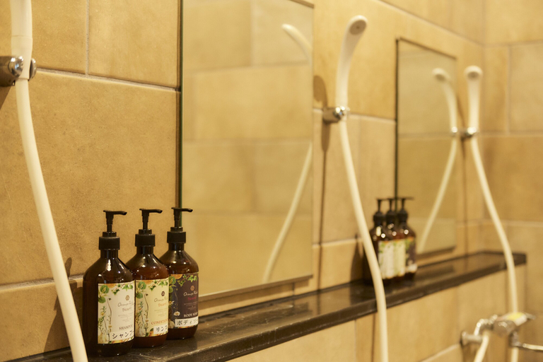 Bathroom, Amagase Onsen Seitenkaku, Hita