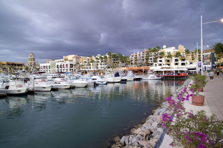 Exterior & Views 2, Fairfield by Marriott Los Cabos, La Paz