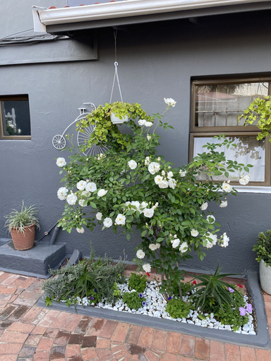 Exterior & Views 2, Marion Lodge, City of Johannesburg