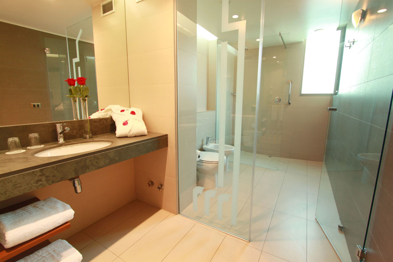 Bathroom 3, Hotel Torremayor Lyon, Santiago