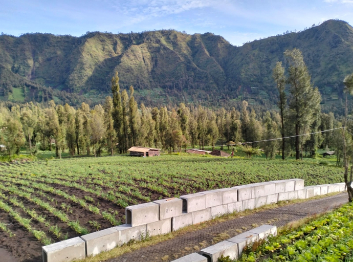 Others 5, Bromo Seruni Guesthouse, Probolinggo