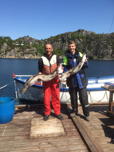 Others 5, Sotra Rorbusenter, Sund