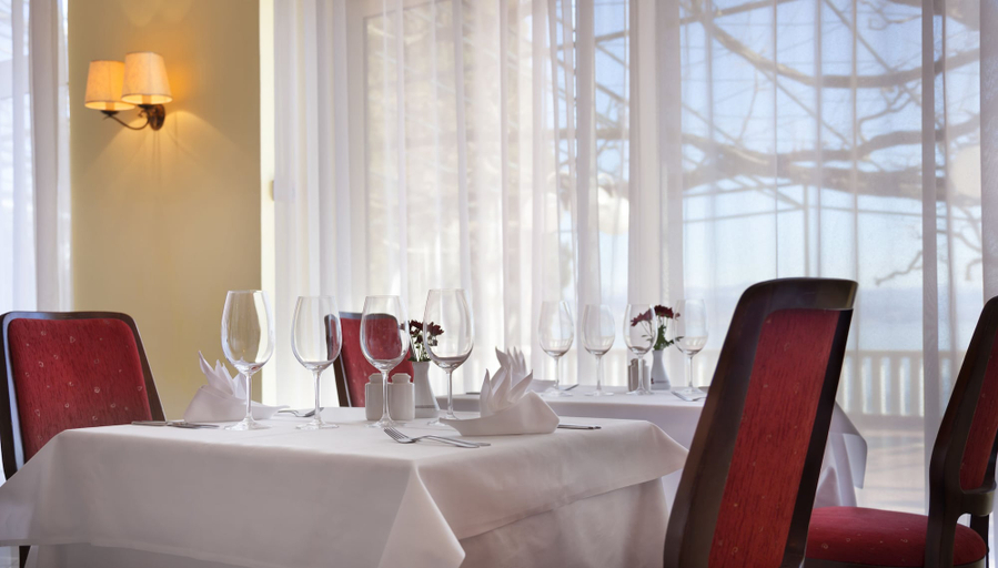 Food & Drinks 5, Hotel Kristal - Liburnia, Opatija/Veprinac