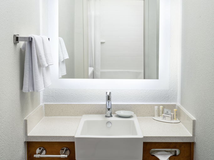 Bathroom 4, SpringHill Suites Dallas Arlington North, Arlington