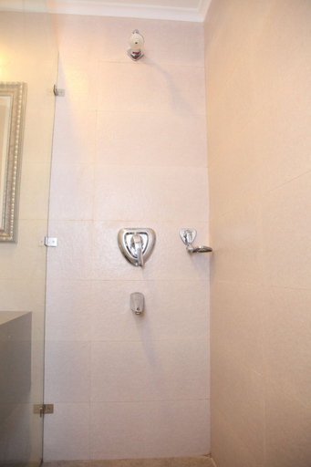 Bathroom 5, Hotel Diplomat, Delhi