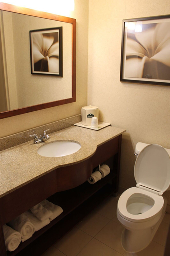 Bathroom 4, Comfort Inn & Suites Columbus North, Lowndes