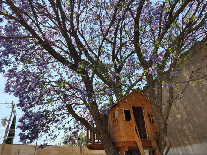 Exterior & Views 2, Hermosa casa con jardin y alberca, Zapopan