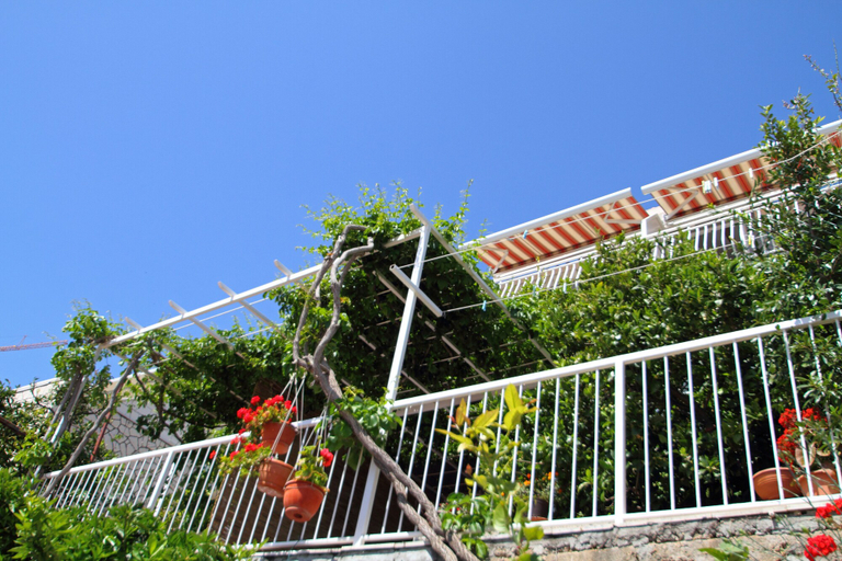 Exterior & Views 2, Ante, Dubrovnik