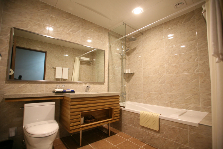 Bathroom 4, Hyunjin Tourist Hotel, Donghae