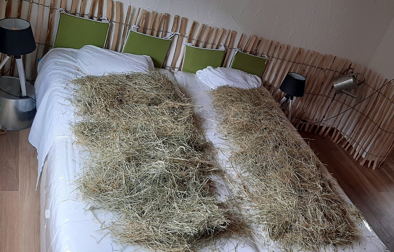 Bedroom 3, Hotel & Restaurant Lindenhof, Siegen-Wittgenstein