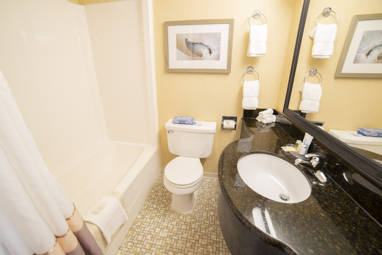 Bathroom 4, The Oceanfront Inn, Virginia Beach