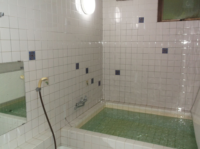 Bathroom 4, PENSION & TRATTORIA Syo, Hakuba
