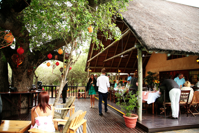 Food & Drinks 4, Needles Lodge, Ehlanzeni