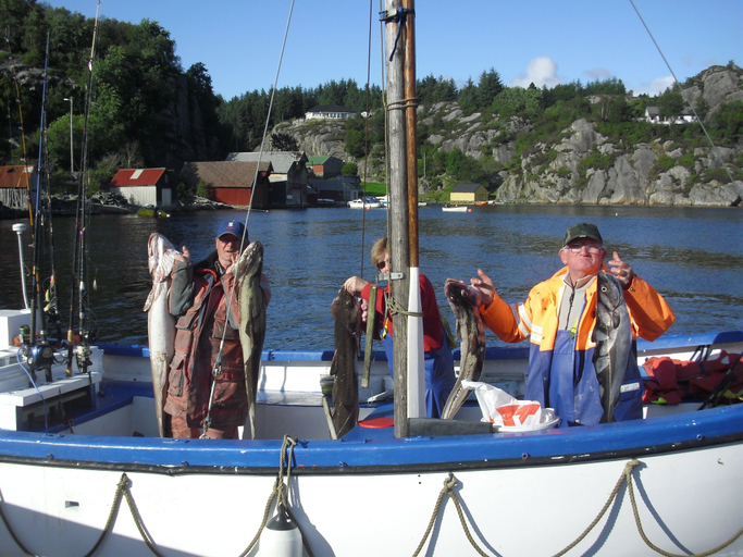 Others 5, Sotra Rorbusenter, Sund