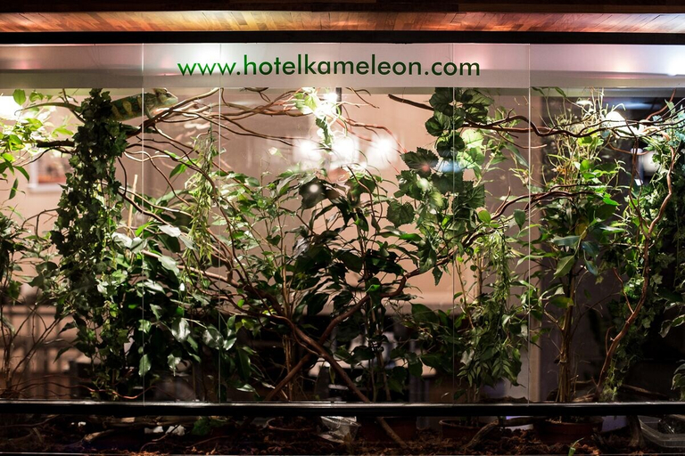 Exterior & Views 2, Hotel & Spa Kameleon, Żory