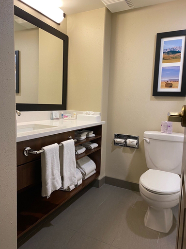 Bathroom 4, Comfort Inn Lethbridge, Division No. 2