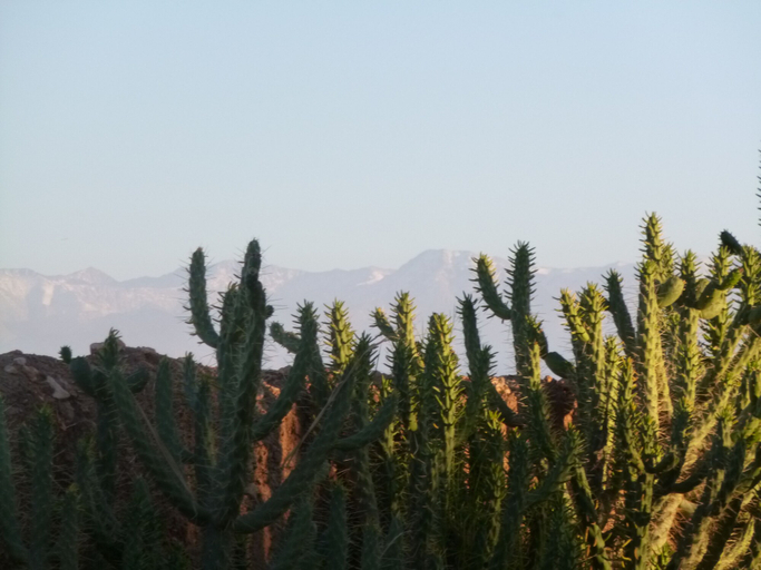 Others 4, La Parenthese de Marrakech, Al Haouz