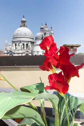 Exterior & Views 2, Dorsoduro Charme Apartments by Wonderful Italy, Venezia