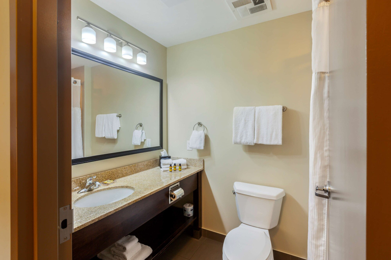 Bathroom 4, Best Western Plus Walkerton Hotel & Conference Centre, Bruce