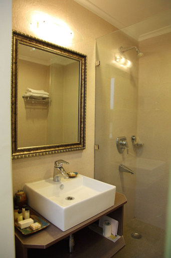 Bathroom 4, Hotel Diplomat, Delhi