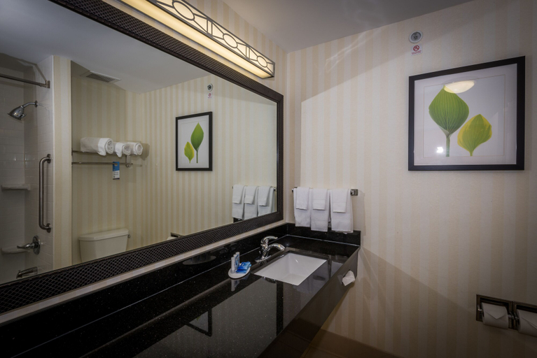 Bathroom 3, Fairfield Inn & Suites by Marriott Tupelo, Lee