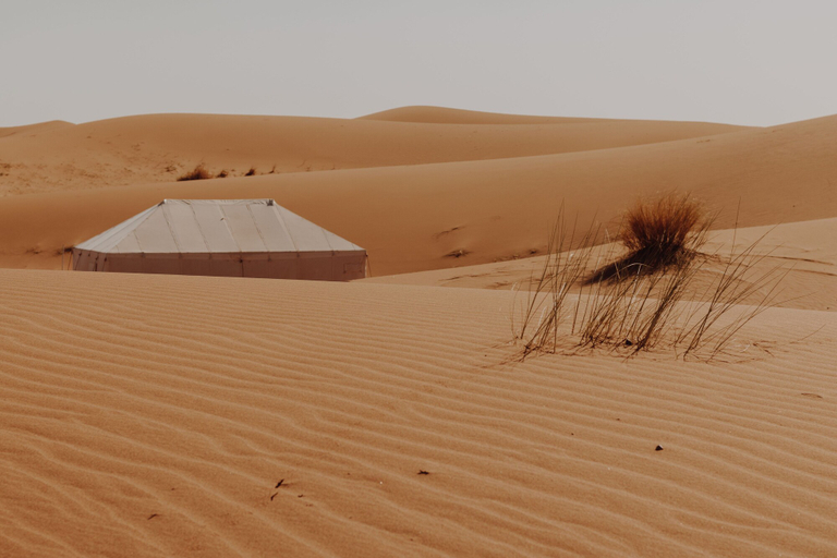 Others 5, Umnya Dune Camp, Ouarzazate