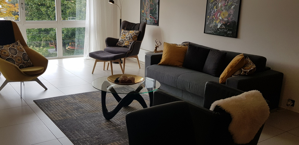 Living room 2, citycentre lake view apartment, Pays-d'Enhaut