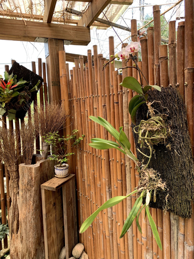 Food & Drinks 5, Jia's Homestay, Nantou