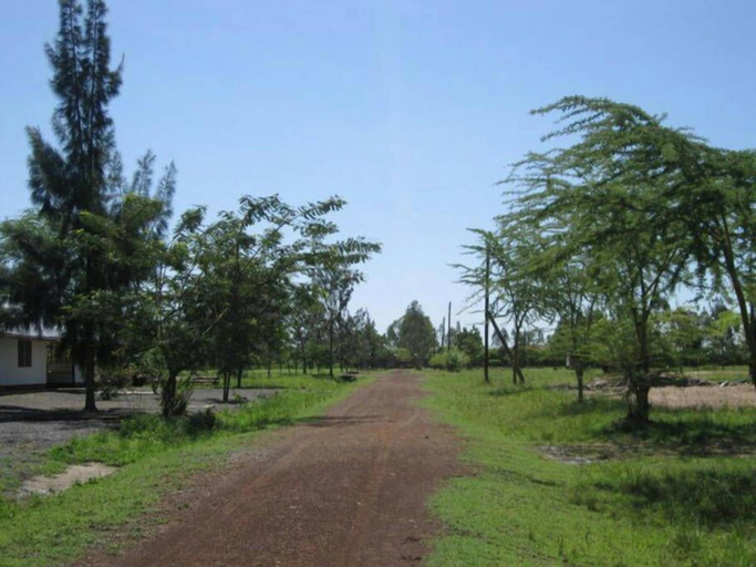 Others 4, Nehemiah International, Muhoroni