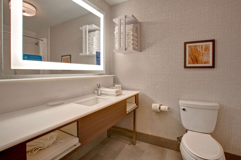 Bathroom 3, Hampton Inn & Suites Borger, Hutchinson