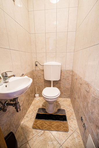 Bathroom 2, Apartments Želimlje, Škofljica