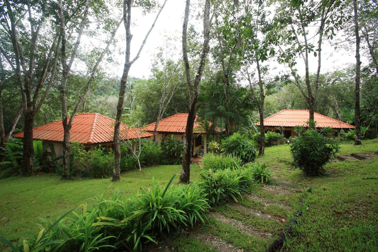 Others 5, Koh Mook Rubertree Bungalow, Kantrang