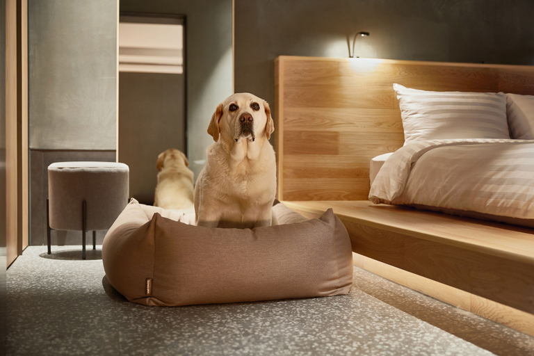 Bedroom 2, Sono Pet Clubs & Resorts VivaldiPark, Chuncheon