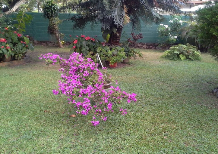 Others 5, Mama's Villa by Taprobane - Hostel, Negombo