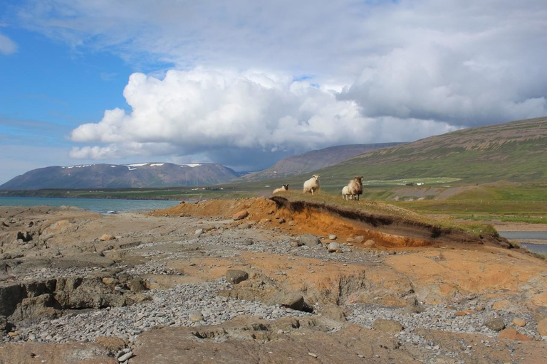 Others 3, Kolkuós Guesthouse, Sveitarfélagið Skagafjörður