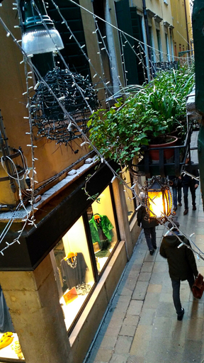 Others 4, Hotel San Salvador, Venezia