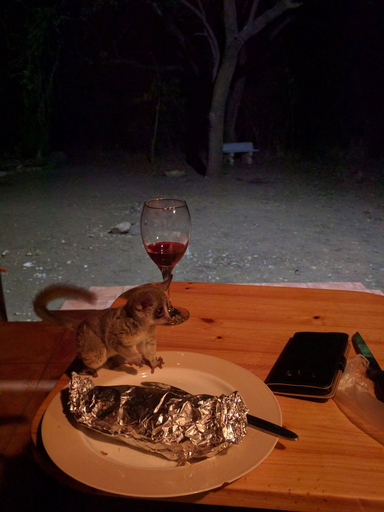 Food & Drinks 5, Rafiki's Resthouse, Ehlanzeni