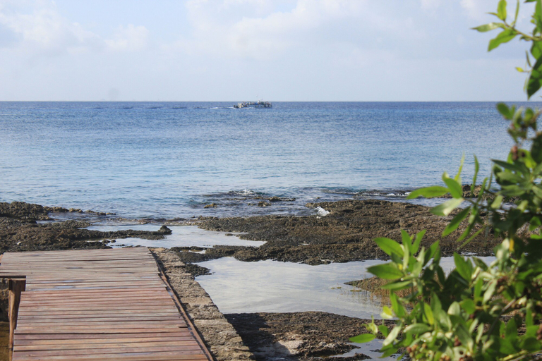 Others 4, Cozy studio across from the Ocean E12, Cozumel