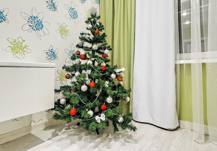 Others 5, Katerina palace Apartment, Sankt-Peterburg gorsovet