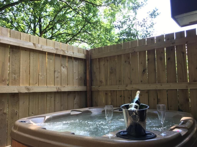 Sport & Beauty, Bluebell 16 with Hot Tub, Carmarthenshire
