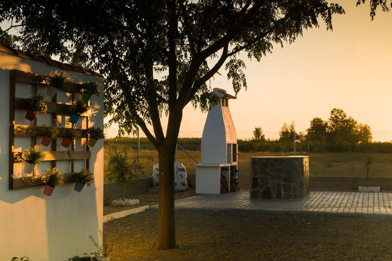 Others 4, La Casa del Agua, Badajoz
